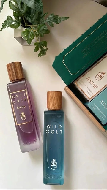 Assaf Wild Colt + Gris Erik